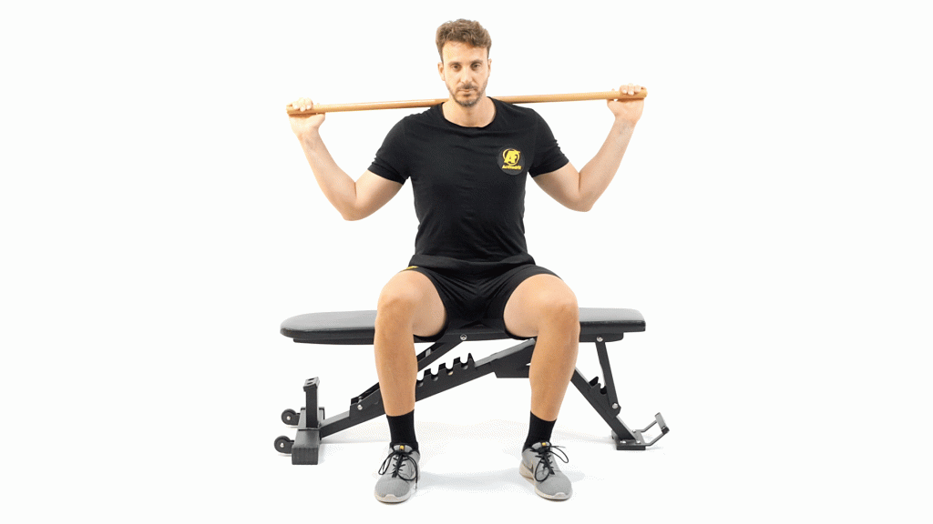 BANCO-PICA-DORSAL-ROTACION LATERAL SENTADO
