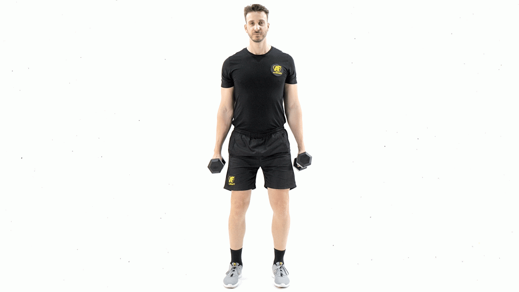 DE PIE-MANCUERNAS-BICEPS-CURL NEUTRO