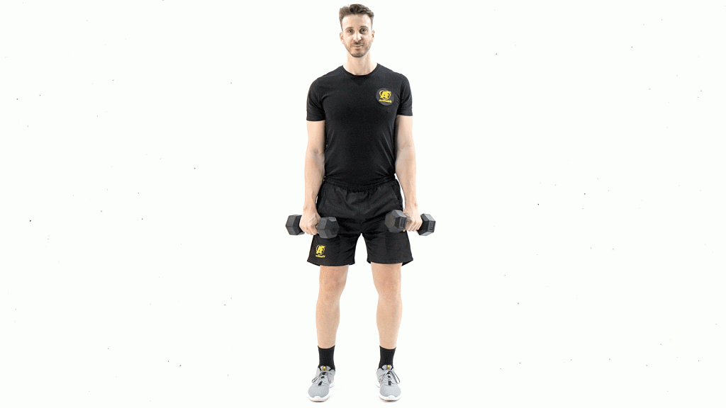 DE PIE-MANCUERNAS-BICEPS-CURL PRONO