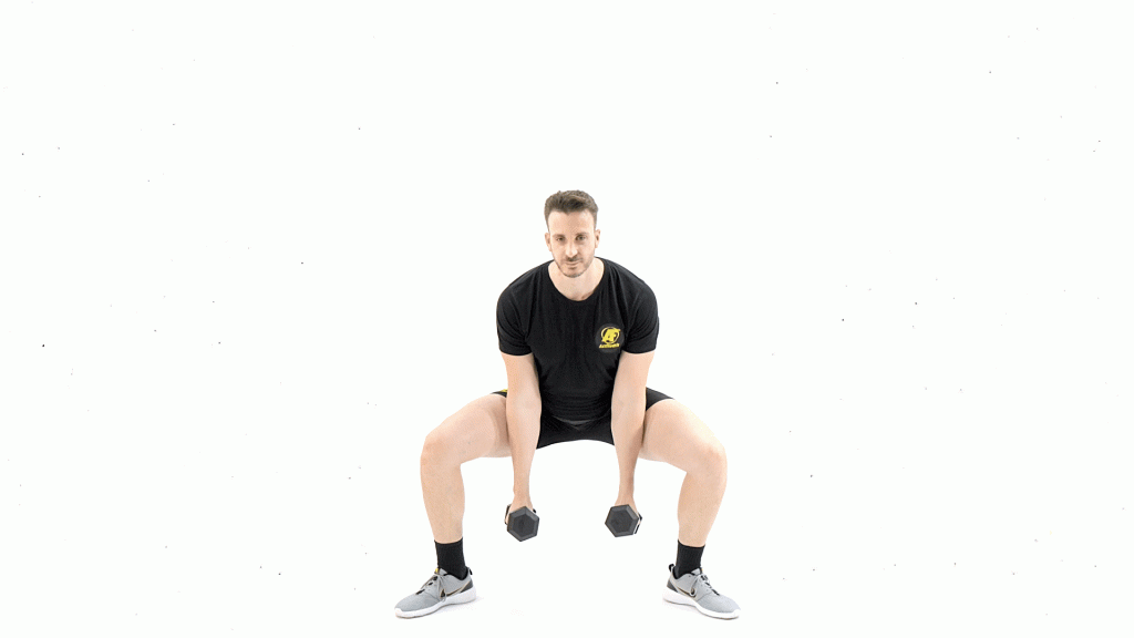 DE PIE-MANCUERNAS-BICEPS-PIERNAS-SENTADILLA DE SUMO Y CURL NEUTRO