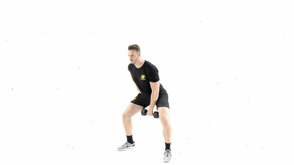 DE PIE-MANCUERNAS-HOMBRO-PIERNA-CADERAZO CON ELEVACION FRONTAL UNILATERAL