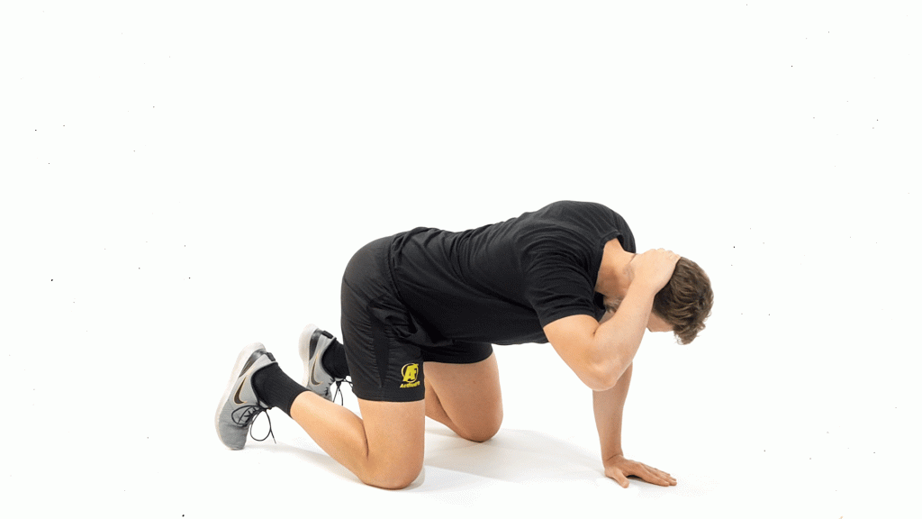RECUPERACION-MOVILIDAD-DORSAL-3